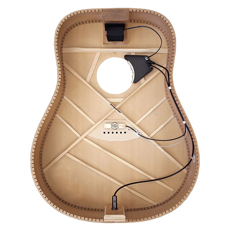 L.R.Baggs Anthem [Acoustic Guitar Pickup + Microphone]