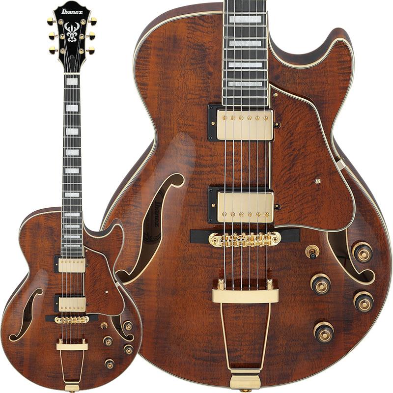 Ibanez Artcore Expressionist AG95MG-DA (Dark Amber) [SPOT MODEL]
