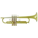 CAROL BRASS Andrea Giuffredi Model CL 【Bb トランペット】