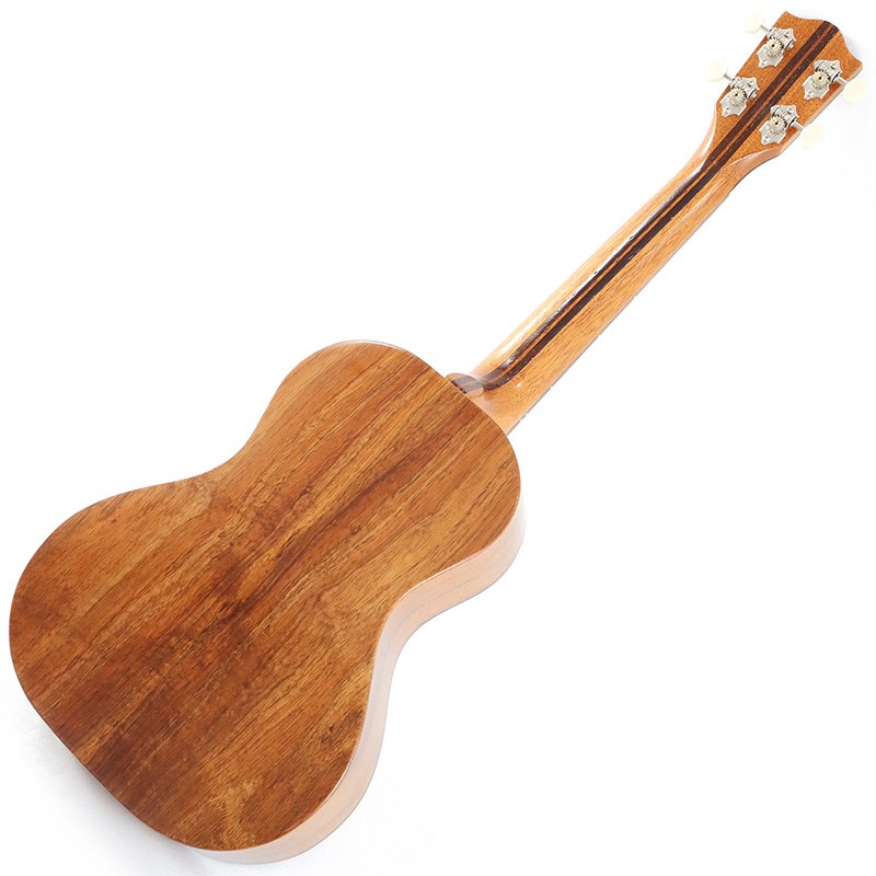 FUJIGEN 【生産完了モデル】FGN Acoustic Tenor FUS-TT フジゲン