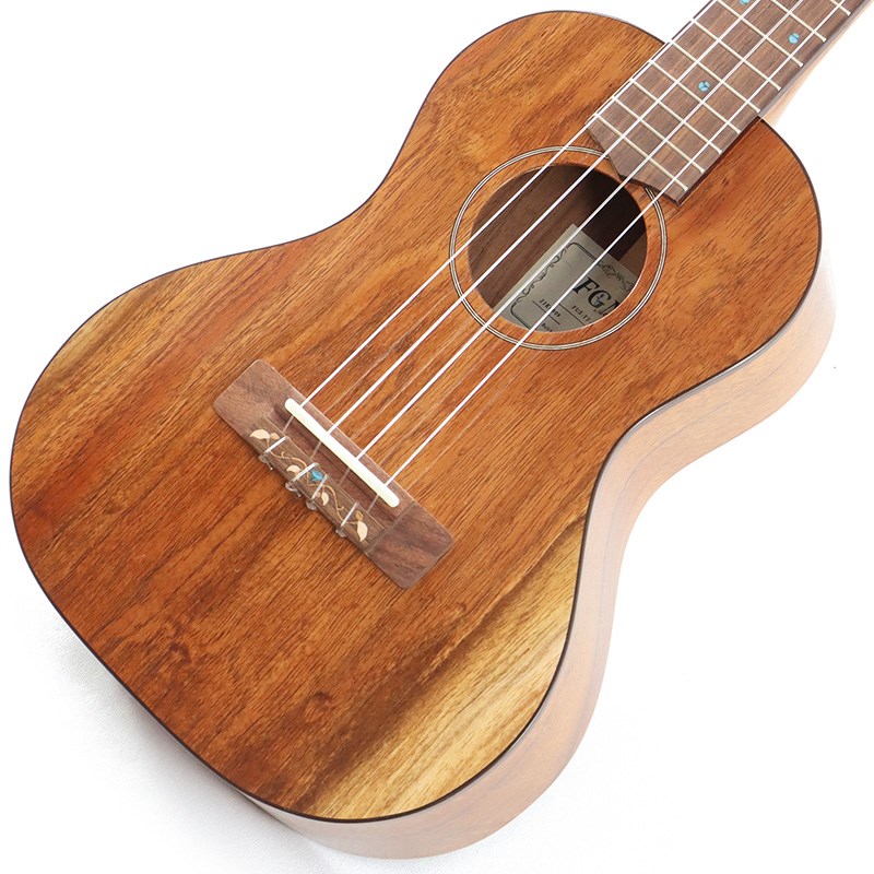 FUJIGEN 【生産完了モデル】FGN Acoustic Tenor FUS-TT フジゲン