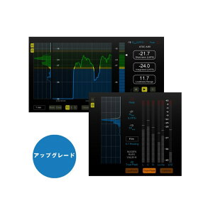 Nugen Audio VisLM-H 2 Upgrade from VisLM-C(オンライン納品)(代引不可)バーゲン