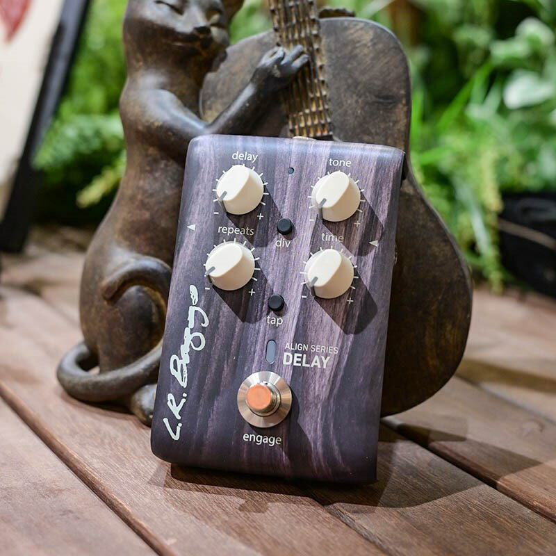 L.R.Baggs ALIGN Series Delay