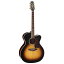 TAKAMINE PTU041C TBS ڤ󤻾ʡ