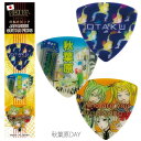 PICK BOY 【創業50周年大決算SALE】 日本のギターピック・ギフトパック (秋葉原DAY) PB100-AKB1