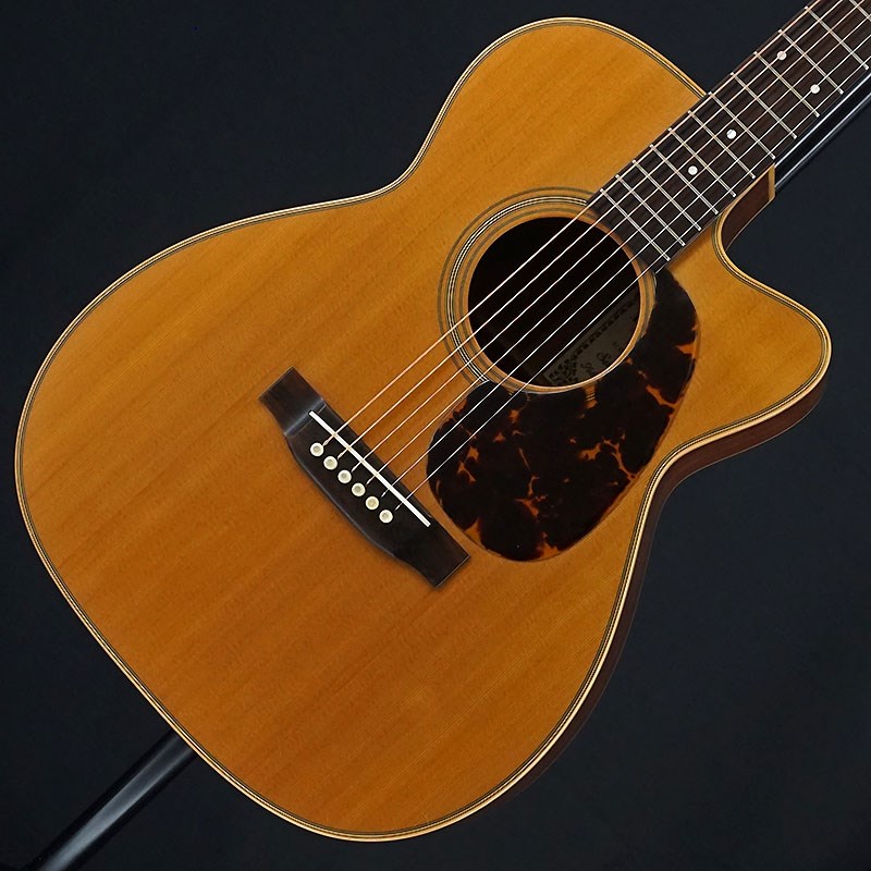 ASTURIAS SOLO HERRINGBONE 超美品 セミハードケース付き（楽天市場 