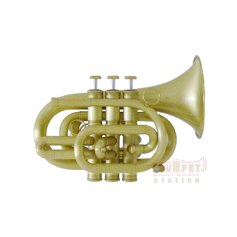 CAROL BRASS キャロルブラス / N3000 ALL-SATIN 【Bb ポケット トランペット 】【出荷前調整で安心】