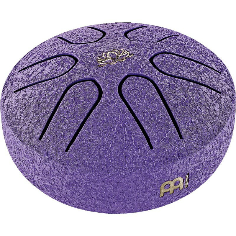 MEINL PSTD1PLF [Sonic Energy Pocket Steel Tongue Drum]