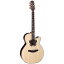 TAKAMINE TSF48C ڤ󤻾ʡ