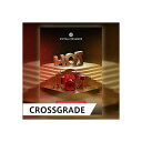 UJAM VIRTUAL DRUMMER HOT / CROSS GRADE (IC[i)(s)