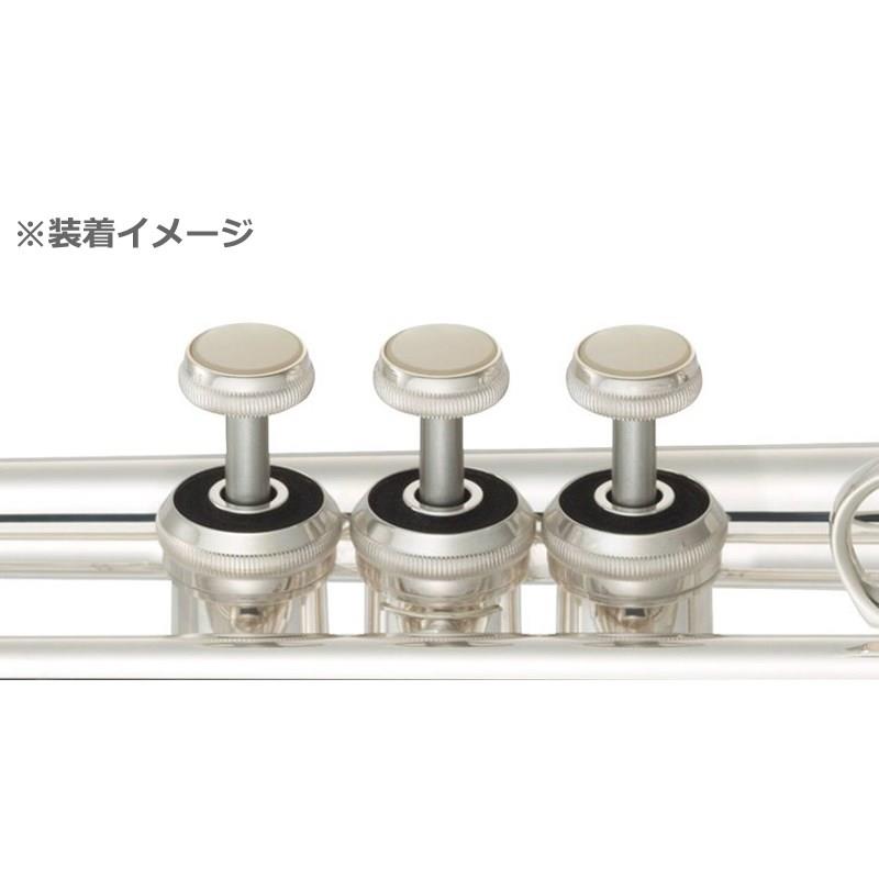 YAMAHA ��ޥ� / ���� �ȥå� ����å��� �ѥå� (��) CH/NY ���ڥå��� 1�� (A7V41050)