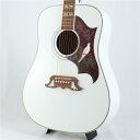 Epiphone 【数量限定エピフォン・アクセサリーパックプレゼント】 Dove Studio Limited Edition Alpine White エピフ...