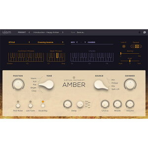 UJAM Virtual Guitarist Amber(オンライン納品専用) ※代金引換はご利用頂けません安売り