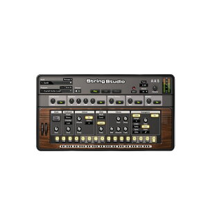 AAS String Studio VS-2ネット通販