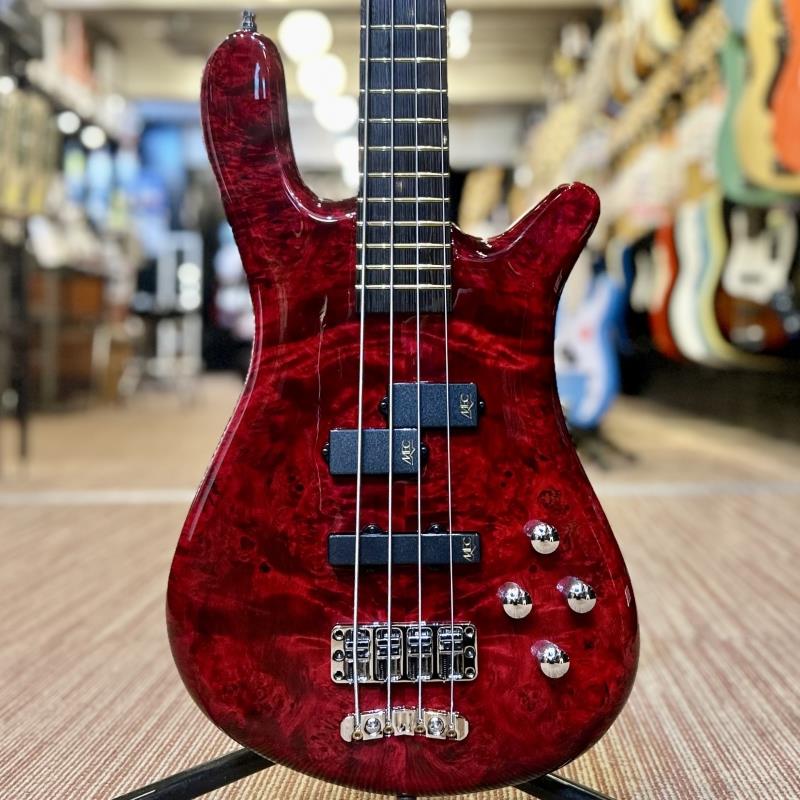 Rakuten - Warwick Pro Series Streamer LX 4st Birdseye Poplar Top (Dark Bleached Red TP HP) [Ikebe 50th Anniversary Special Edition] #13962