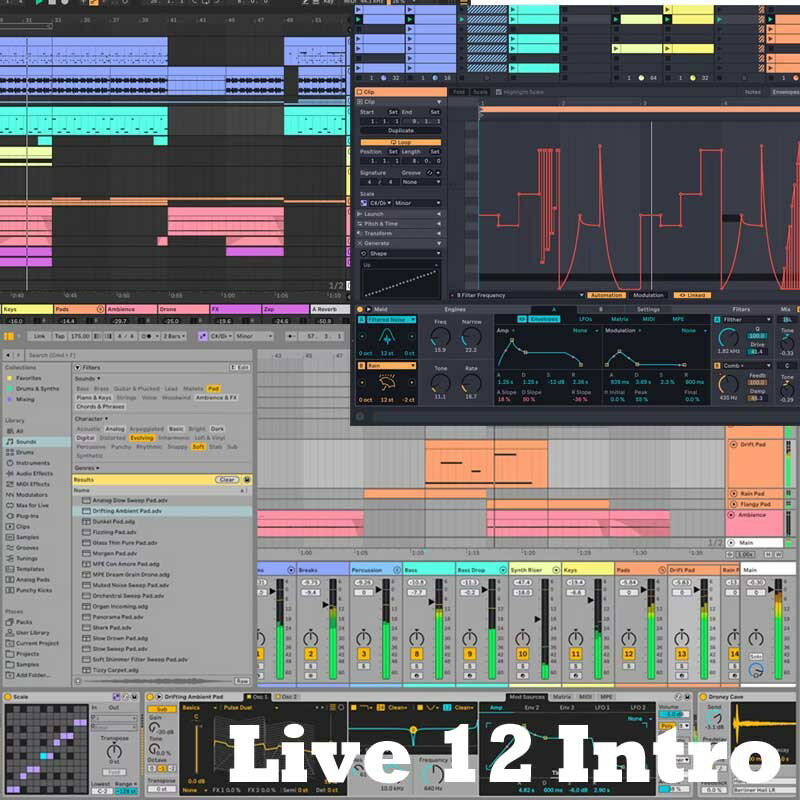ableton Live 12 Intro (代引不可)(オンライン納品)