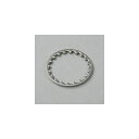 Montreux 【創業50周年大決算SALE】 Selected Parts / Inch thin tooth washer 15/32 (10) [869...
