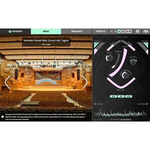 Inspired Acoustics Inspirata LITE Edition (オンライン納品専用)※代引不可格安セール