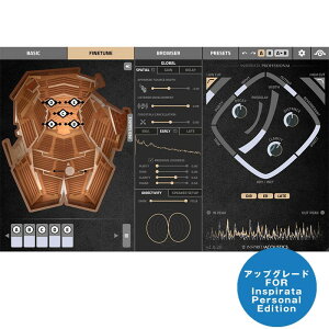 Inspired Acoustics Inspirata Personal to Professional Upgrade(アップグレード版)(オンライン納品専用)※代引不可販売