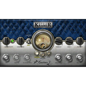 WAVES Eddie Kramer Guitar Channel(オンライン納品専用) ※代金引換はご利用頂けません。ネット通販