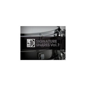 BFD BFD Signature Snares Vol. 1安売り