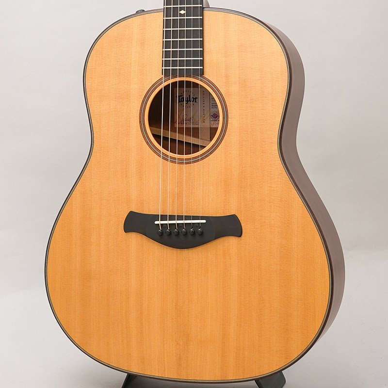 TAYLOR USED 中古 BE 517e V-Class '19 テイラー