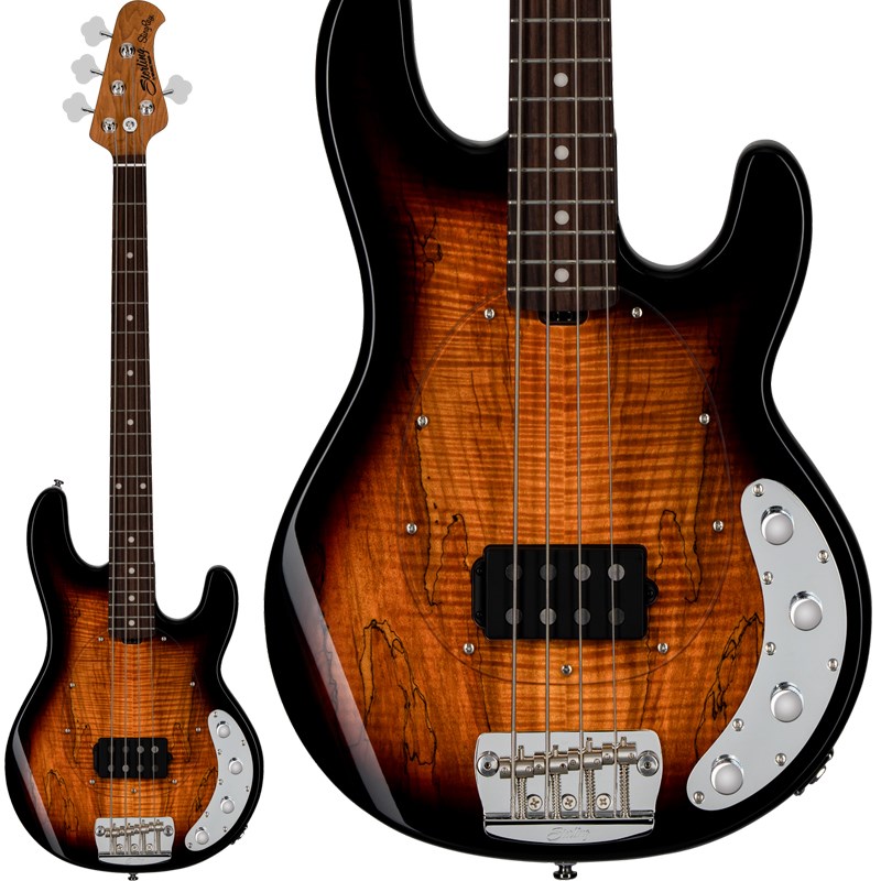 楽器種別：新品Sterling by MUSICMAN/新品 商品一覧＞＞ベース【110，000円〜215，000円】 商品一覧＞＞エレキベース/MMタイプ/Sterling by MUSICMAN 商品一覧＞＞当店のベースは、出荷前に専門スタッフが検品・調整しているので安心です！Sterling by MUSICMAN Ray34SM (3-Tone Sunburst/Rosewood)商品説明StingRay Bassのサウンドとフィーリングを受け継ぐコストパフォーマンス・モデルRAYシリーズに高級感のあるスポルテッドメイプルトップを組み合わせたRay34SMが登場！スターリン・バイ・ミュージックマンは、より多くのプレイヤーにミュージックマンのサウンド、フィーリングを感じてもらえるように誕生したハイコストパフォーマンスを実現したシリーズです。こちらのRay34は剛性が高く狂いの少ないローステッドメイプルネック、3バンド・アクティブ・イコライザー、シングルハムバッカーピックアップを組み合わせることで、クラシックな外観ながら現代の音楽シーンに対応できるポテンシャルを秘めています。また、ボディトップにはエキゾチックウッドとして知られるスポルテッドメイプルを使用しており、高級感のある外観が魅力となっています。バキっとした輪郭を持つ太い独特の低音と、音の芯の感じられるストレートなサウンドはスティングレイ・モデルさながらの仕上り！ピックでも指弾きでもスラップでも、パキンとダイナミックな低音がお楽しみいただけます。 ミュージックマンと同様の6ボルト・ネックジョイントや、ミュージックマン・デザインによるブリッジ部等、細かなコダワリが生み出す充実のサウンドを是非一度ご自身でお確かめ下さい！※画像はサンプルです。製品の特性上、杢目・色合いは1本1本異なります。商品詳細■Body: Nyatoh - Spalted Maple Veneer Top■Neck: Roasted Maple■Scale: 34■Fretboard Radius: 9.5■Frets:21■Nut Width: 43mm■Fingerboard: Rosewood■Pickups: 1 Alnico Humbucker■Controls: Vol. - Treble - Middle - Bass■Strings: Ernie Ball 2834 Super Slinkyソフトケース付属イケベカテゴリ_ベース_エレキベース_MMタイプ_Sterling by MUSICMAN_新品 SW_Sterling by MUSICMAN_新品 JAN:0810002952807 登録日:2024/06/27 エレキベース スターリン ミュージックマン