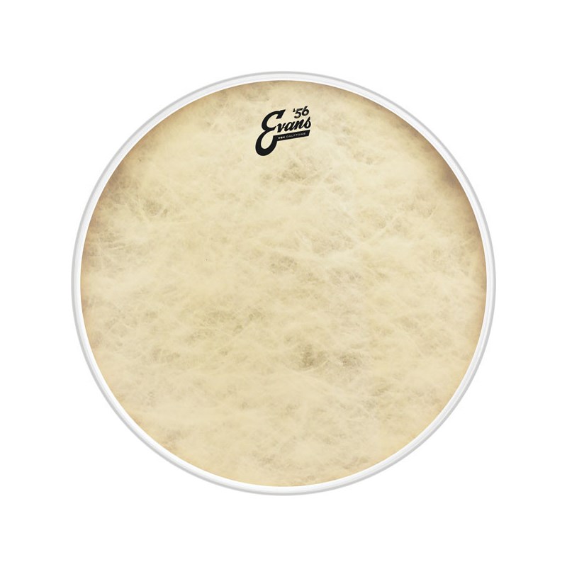 EVANS TT16GB4CT ['56 - EQ4 Calftone Bass 16：Steel Hoop仕様/Bass Drum]【1ply ，12mil + 10mil ring】【お取り寄せ品】