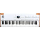 Arturia AstroLab (Avant-garde Stage Keyboard) アートリア アストロラボ(2)