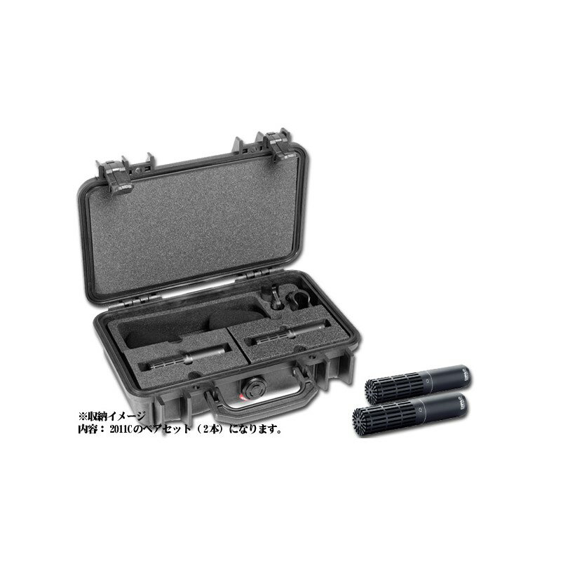 DPA ST2011C ���ƥ쥪�����åȡ�2011C��2��