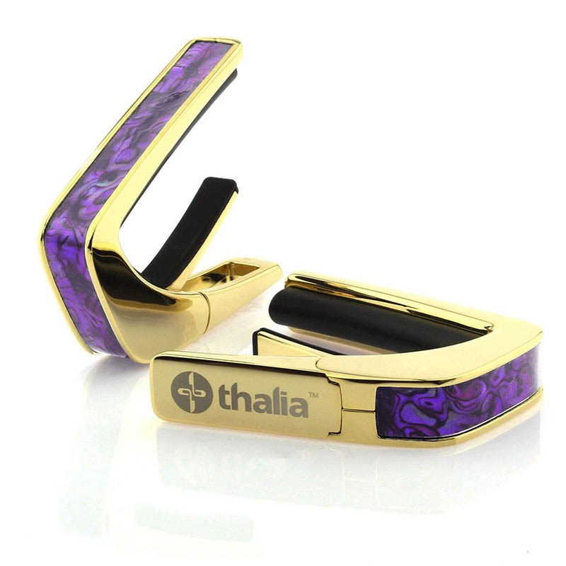 Thalia Capo Exotic Shell Series 24K Gold Purple Paua [新仕様] タリアカポ