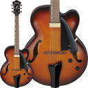 Ibanez AFC71-VLS
