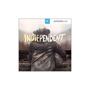 TOONTRACK SDX INDIEPENDENT(オンライン納品専用)※代引きはご利用いただけませんバーゲン