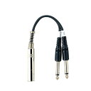 Tech YPP-06