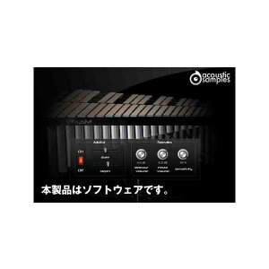 Acoustic Samples VibysM(オンライン納品専用) ※代金引換はご利用頂けません。通販