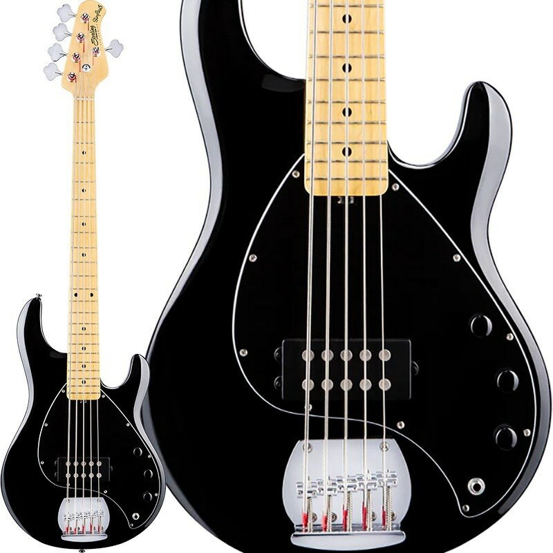 Sterling by MUSICMAN S.U.B. Series Ray5 (Black/Maple) 【特価】 【2025 新春セール】