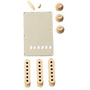 Fender USA STRATOCASTER(R) ACCESSORY KITS (AGED WHITE) ( 0991368000)