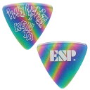 ESP Artist Pick Series WANIMA KENTA PICK PA-WK10-1（RA）