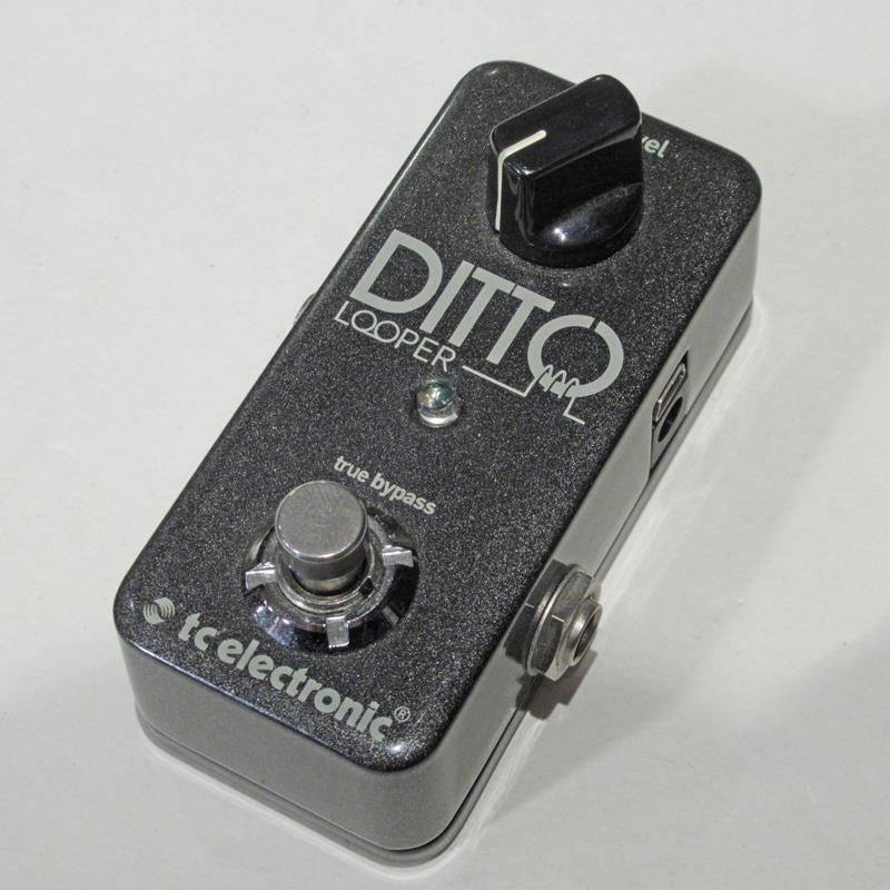翌日配達 tc electronic USED 中古 Ditto Looper