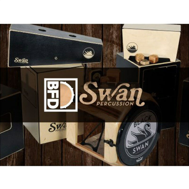 BFD BFD3 Expansion KIT: Swan Percussion(IC[ip) ͂p܂B