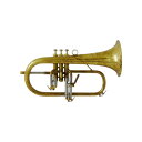 CAROL BRASS キャロルブラス / N6200 AL 【Bb フリューゲル ホルン】【出荷前調整で安心】(2)