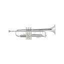 Bach 180MLV72/43 GBS yBb gybgz y2024 trumpet fairz