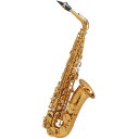 Selmer Paris 【旧定価品！】【貝沼拓実氏選定品】アルトサックス セルマー Supreme シュプレーム DGL(ダークゴールドラッカー)【選定料サービス 】