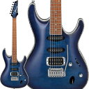 楽器種別：アウトレットエレキギター/Ibanez 商品一覧＞＞エレキギター【35，000円〜75，000円】 商品一覧＞＞当店のギターは、出荷前に専門スタッフが検品・調整しているので安心です！Ibanez SA360NQM-SPB【特価】商品説明新品チョイキズ超特価！SA w/Quilted Maple top & Avalon Body Bindingアバロン ・ボディ ・バインディング / キルテッド ・メイプル ・トップ ・モデル・アーチド ・トップ SA シリーズ新モデルアーチド ・トップ フラット ・バックのボディに、 22 フレット 指板 、 ノン ・ロッキング ・タイプのトレモロなど、 トラッドなテイストを残しながらも、モダンなルックスを追求した SA シリーズの新モデルです。・ボディ ・エッジにアバロン装飾 バインディングを 施 した 豪奢 なキルテッド ・メイプル ・トップ・ Resolution（レゾリューション Quantum （クアンタム）ピックアップネック ・ポジションとミドル ・ポジションには Resolution （レゾリューション）ピックアップ を、 ブリッジ ・ポジションには Quantum （クアンタム）ピックアップを搭載しています。 幅広 いダイナミック ・レンジ、バランスのとれたトーンで、扱いやすいサウンドを追求しました。・シンクロ ・タイプの Ibanez オリジナル ・トレモロ・アバロン ・ドット ・ポジション ・インレイ・D'Addario EXL120ソフトケース付き※画像はサンプルです。製品の特性上、杢目・色合いは1本1本異なります。商品詳細Neck type:SA Maple neckBody:Quilted Maple top /Okoume body w/Abalone body bindingFretboard Bound:Jatoba fretboard w/Abalone dot inlayFret:Medium fretsBridge:T102 bridgeNeck pickup:Resolution Single (S) neck pickupMiddle pickup:Resolution Single (S) middle pickupBirdge pickup:Quantum (H) bridge pickupHardware color:ChromeStrings gauge:.009/.011/.016/.024/.032/.042◆Color:・SPB (Sapphire Blue)イケベカテゴリ_ギター_エレキギター_Ibanez_アウトレット JAN:4549763229830 登録日:2024/01/02 エレキギター アイバニーズ イバニーズ