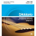 DfAddario Phosphor Bronze Acoustic Bass Strings EPBB170-5