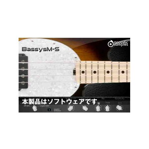 Acoustic Samples Bassysm-S(オンライン納品専用) ※代金引換はご利用頂けません。通販セール