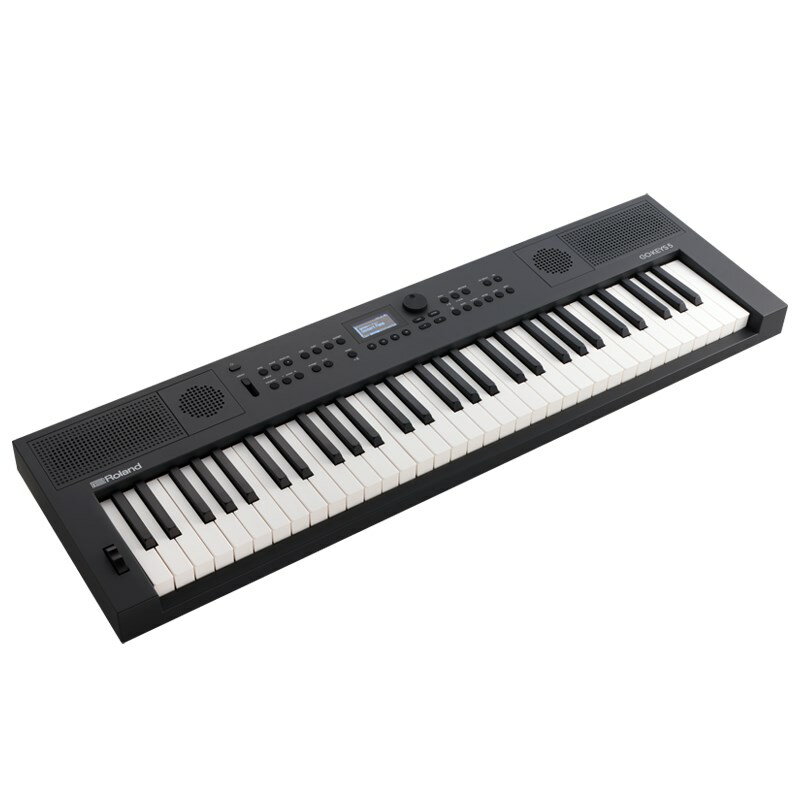 Roland GOKEYS5-GT (GO:KEYS 5) Music Creation Keyboard