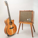 TAYLOR LTD 924ce 50th Anniversary Amp テイラー
