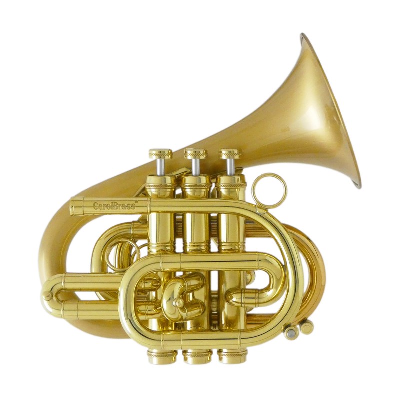 楽器種別：新品CAROL BRASS/新品 商品一覧＞＞管楽器・吹奏楽器【115，000円〜220，000円】 商品一覧＞＞トランペット/ポケトラ・スライド・その他トランペット/CAROL BRASS 商品一覧＞＞サックス買うなら、当店で！専門のスタッフが丁寧に検品・調整しているので安心です！CAROL BRASS キャロルブラス / N7000 SATIN-BELL GB (Dizzy) 【Bb ポケット トランペット 】【出荷前調整で安心】商品説明CAROL BRASS(キャロルブラス)1989年、キム・リー氏とキャロル・ロー夫人により台湾北部で設立されたHoxon Gakki Corp.は、有名楽器メーカーから志をもって独立した技術者たちによってトランペットやコルネット、トロンボーンなどの楽器製造を開始しました。その後 最新鋭の管楽器工場を南部に移転して、台湾のオーケストラ奏者や欧米の演奏家たちのアドバイスのもとに楽器製作を進め、「レジェンド」「デラックス」「ジュニア」「パイオニア」というスタンダードからハイエンドまでの4機種をベースに、世界中で「Carol」ブランドの金管楽器を発売開始しました。また、数多くの有名メーカーに楽器本体およびパーツを供給しており、その技術力の高さは世界中で高く評価されています。2011年には新しい商標ブランド名を「CarolBrass」とし、その後、国際的な楽器見本市であるフランクフルトの「ミュージックメッセ」やアメリカの「NAMM」に出展し、新進気鋭の楽器メーカーとして世界中から高い評価を得ています。仕様・Bb管 トランペット・ベルサイズ：120mm・MLボア（11.70mm）・ゴールドブラスベル・サテンラッカー付属品・オリジナルマウスピース・ソフトケース・オイル、グリス、クロス、メーカー保証書イケベカテゴリ_管楽器・吹奏楽器_トランペット_ポケトラ・スライド・その他トランペット_CAROL BRASS_新品 SW_CAROL BRASS_新品 JAN:2540100075082 登録日:2024/09/22 トランペット キャロル キャロルブラス