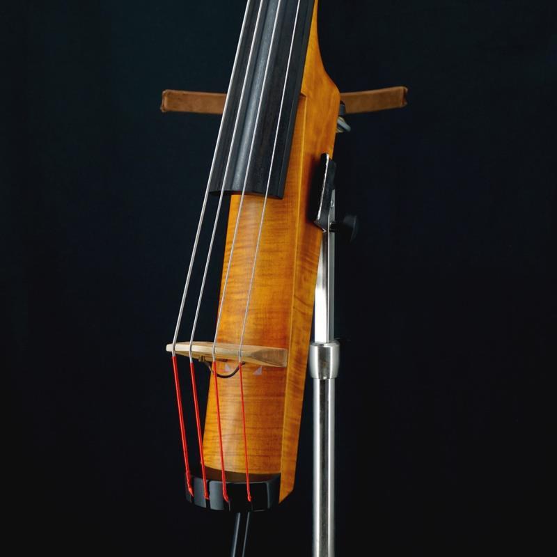 VEKTOR USED ��� Electric Bassett